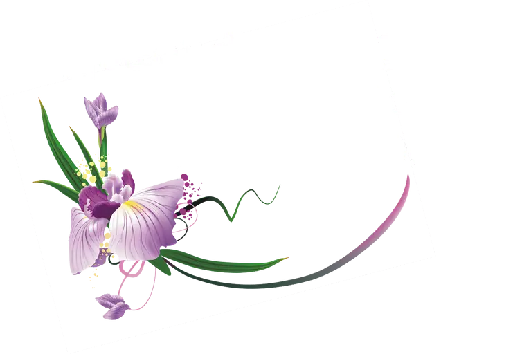 Purple Orchid Flower Decoration Illustration