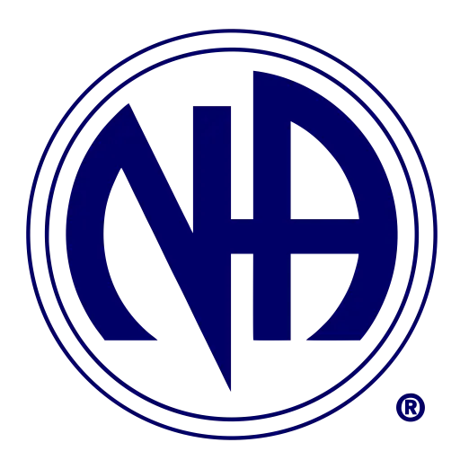 Circular NA Organization Logo Design in Blue