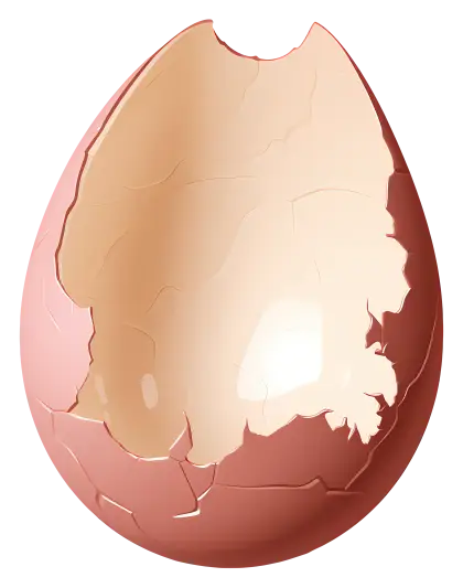 Cracked Egg with Light Brown Shell