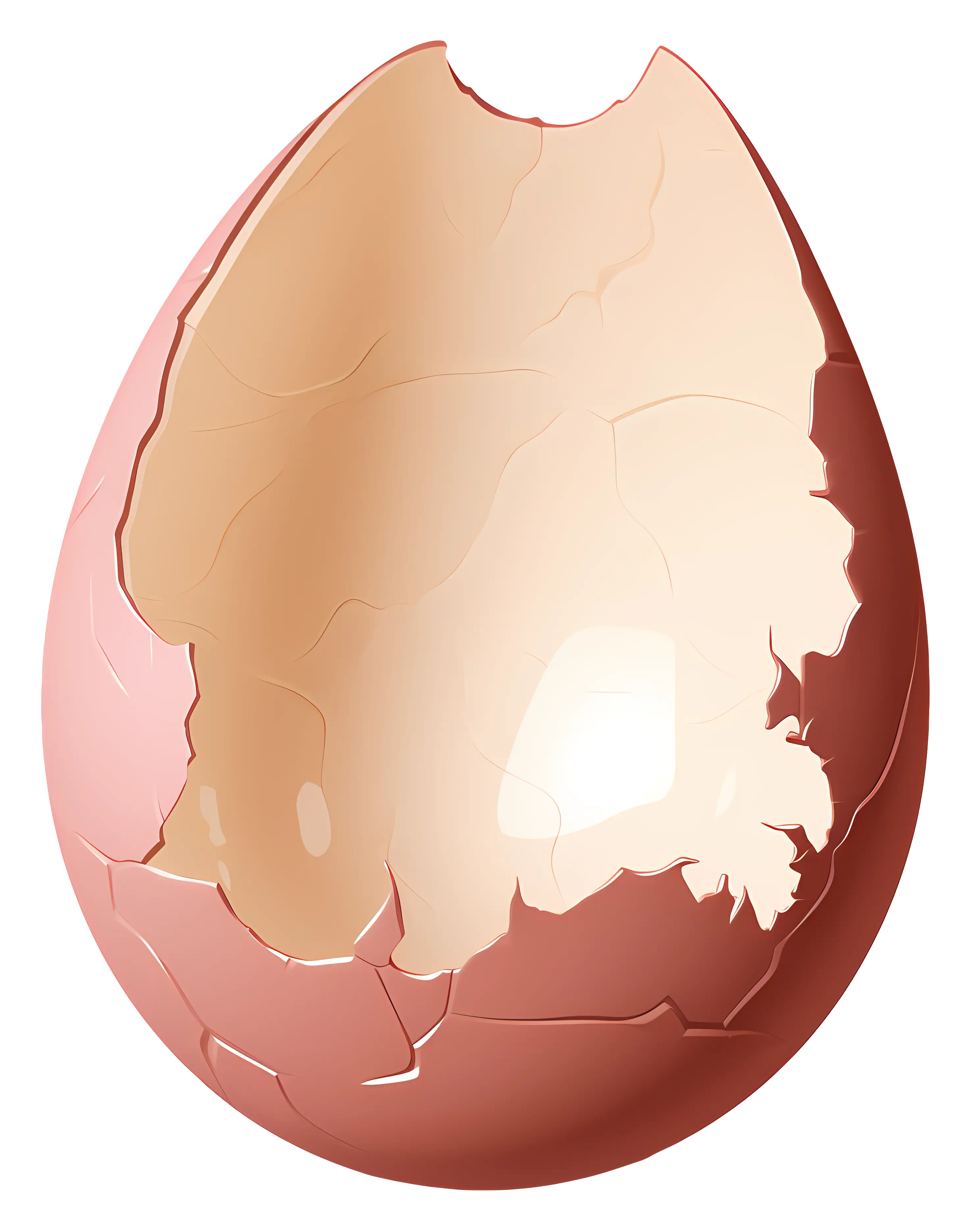 Cracked Egg with Light Brown Shell