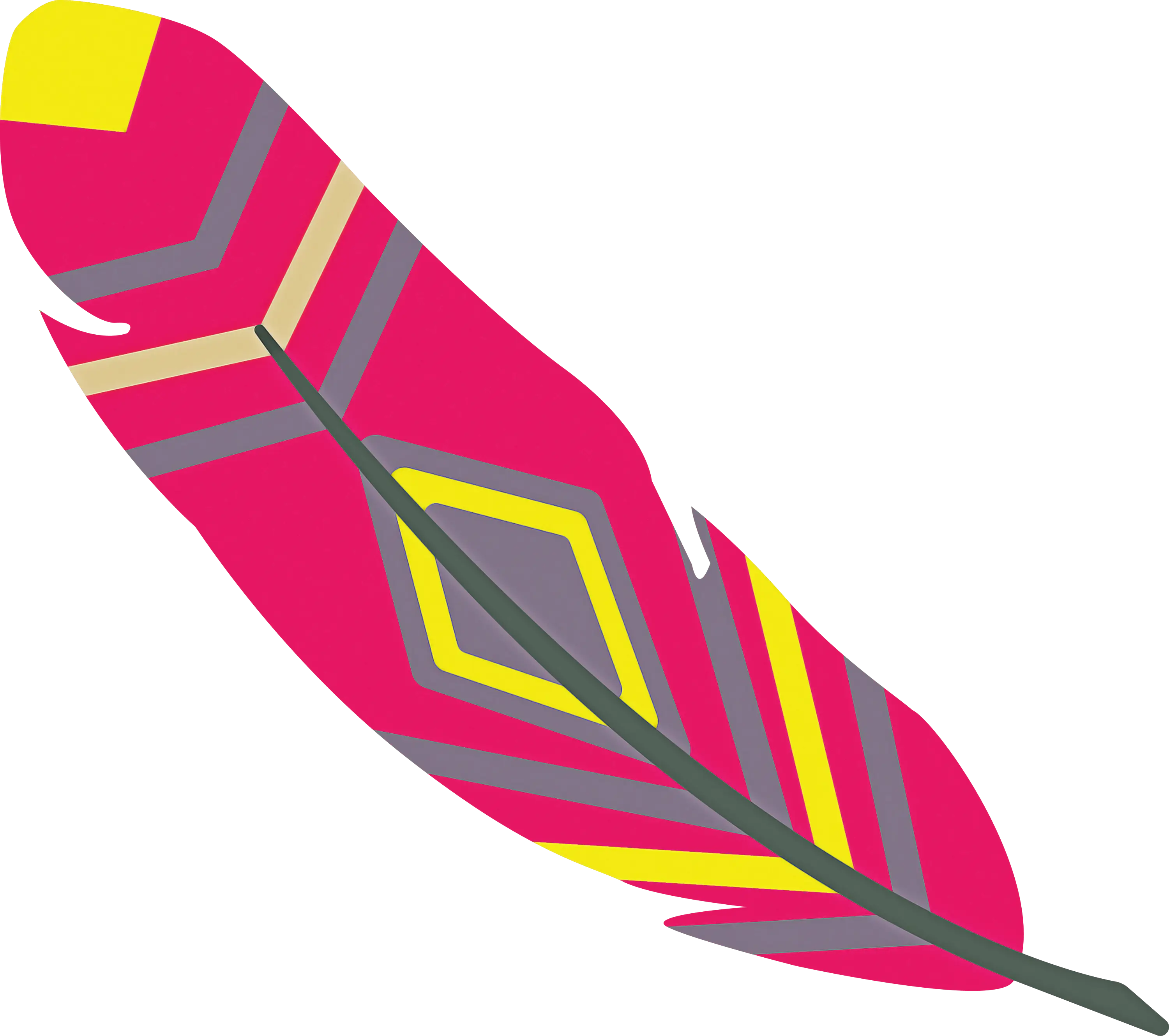 Decorative Pink Feather Illustration