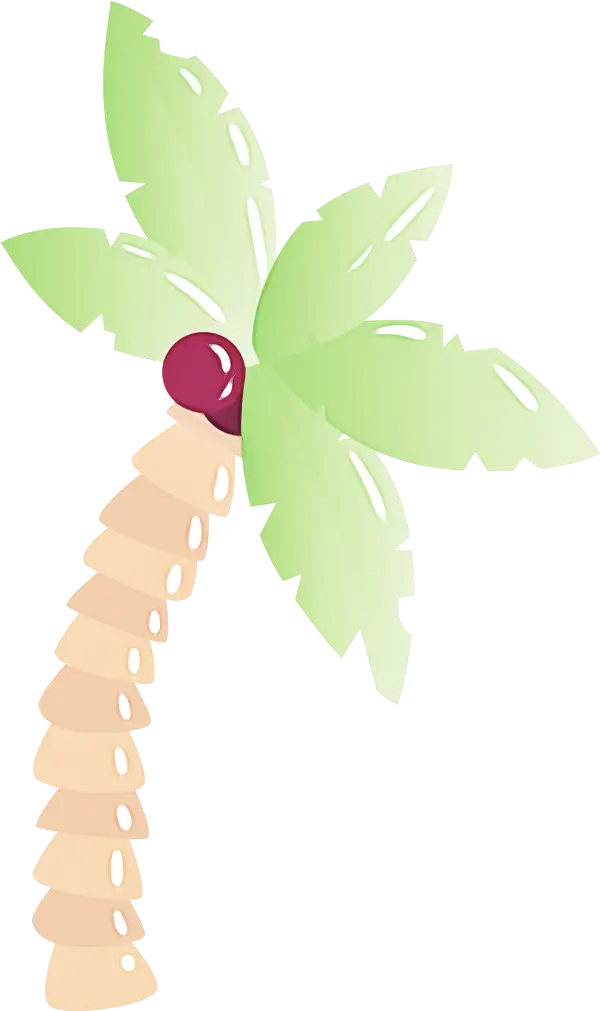 Cartoon Tropical Palm Tree with Fruit