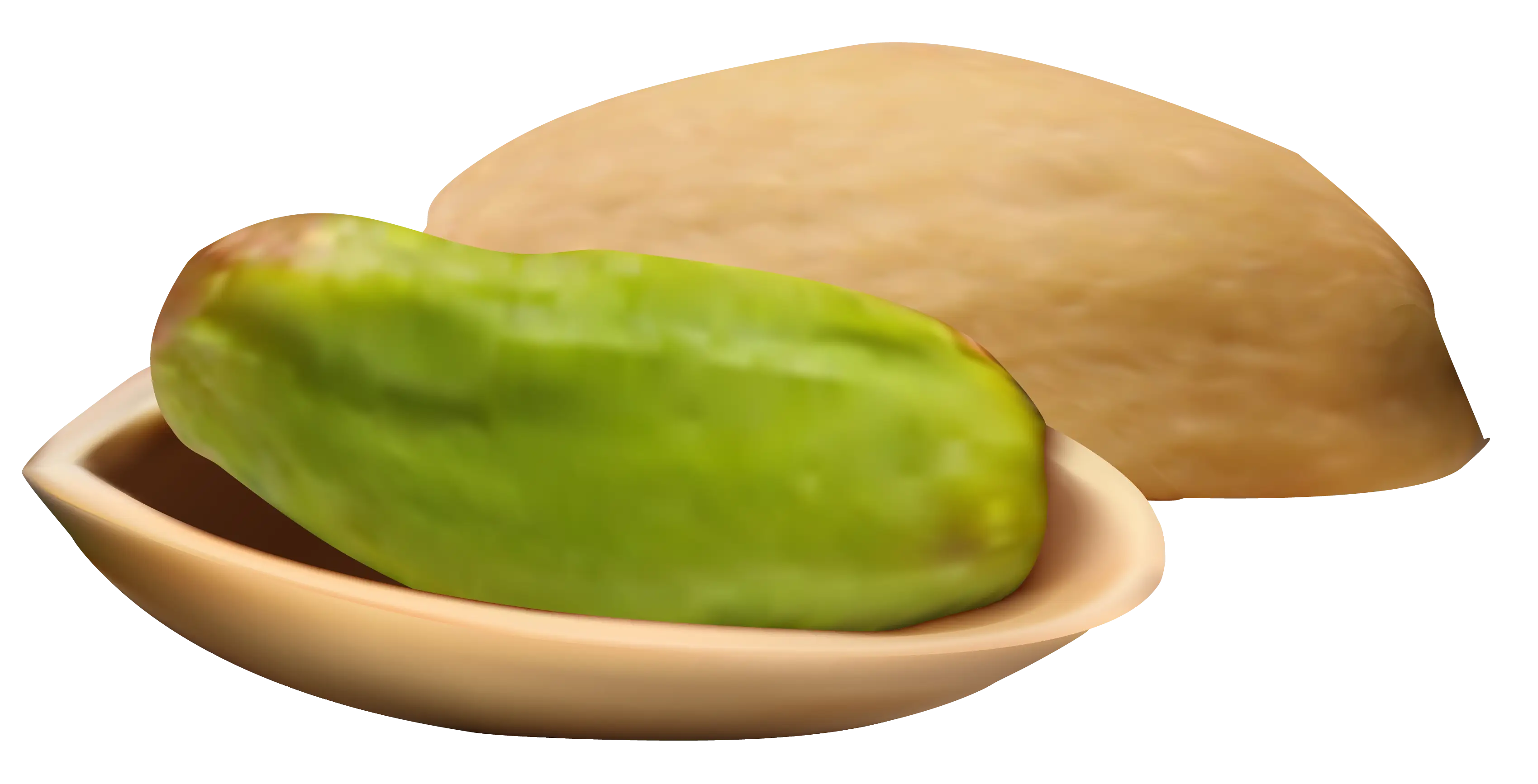 Pistachio Nuts