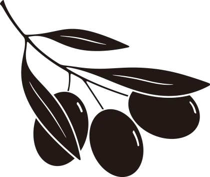 Olive Branch Illustration