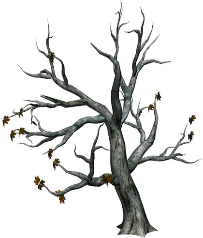 Bare Tree with Sparse Leaves Illustration