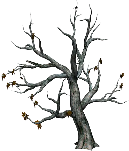 Bare Tree with Sparse Leaves Illustration