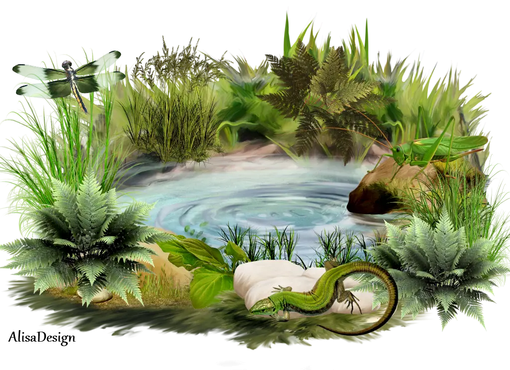 Serene Nature Scene with Pond