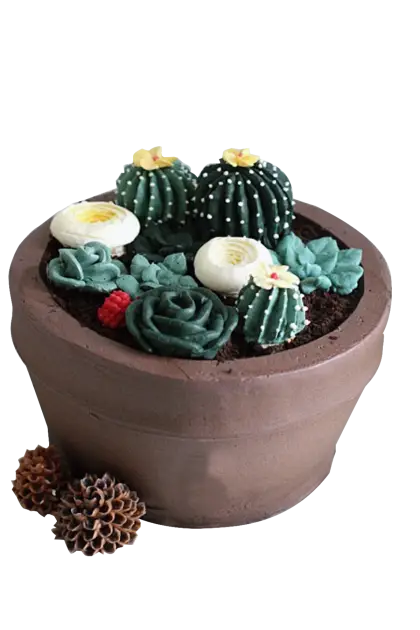 Decorative Cactus Cake in Pot