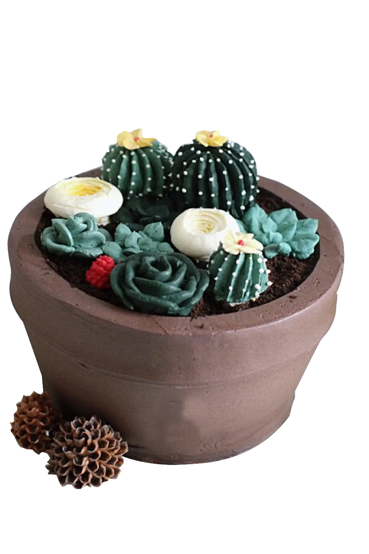 Decorative Cactus Cake in Pot