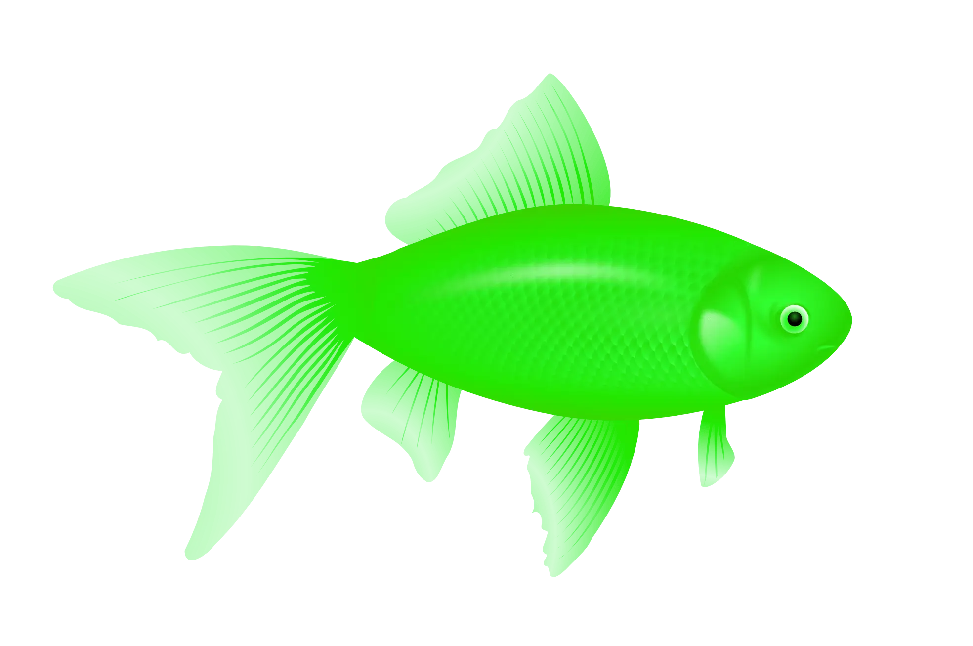 Bright Green Fish