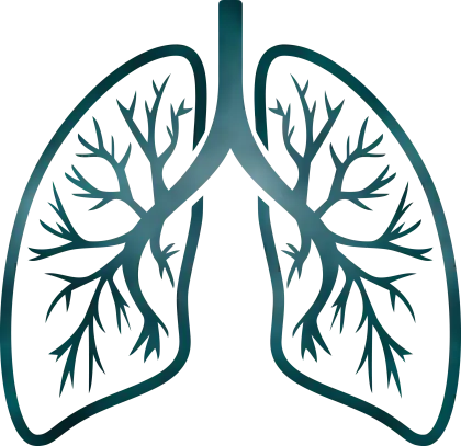 Detailed Lungs Diagram Illustration
