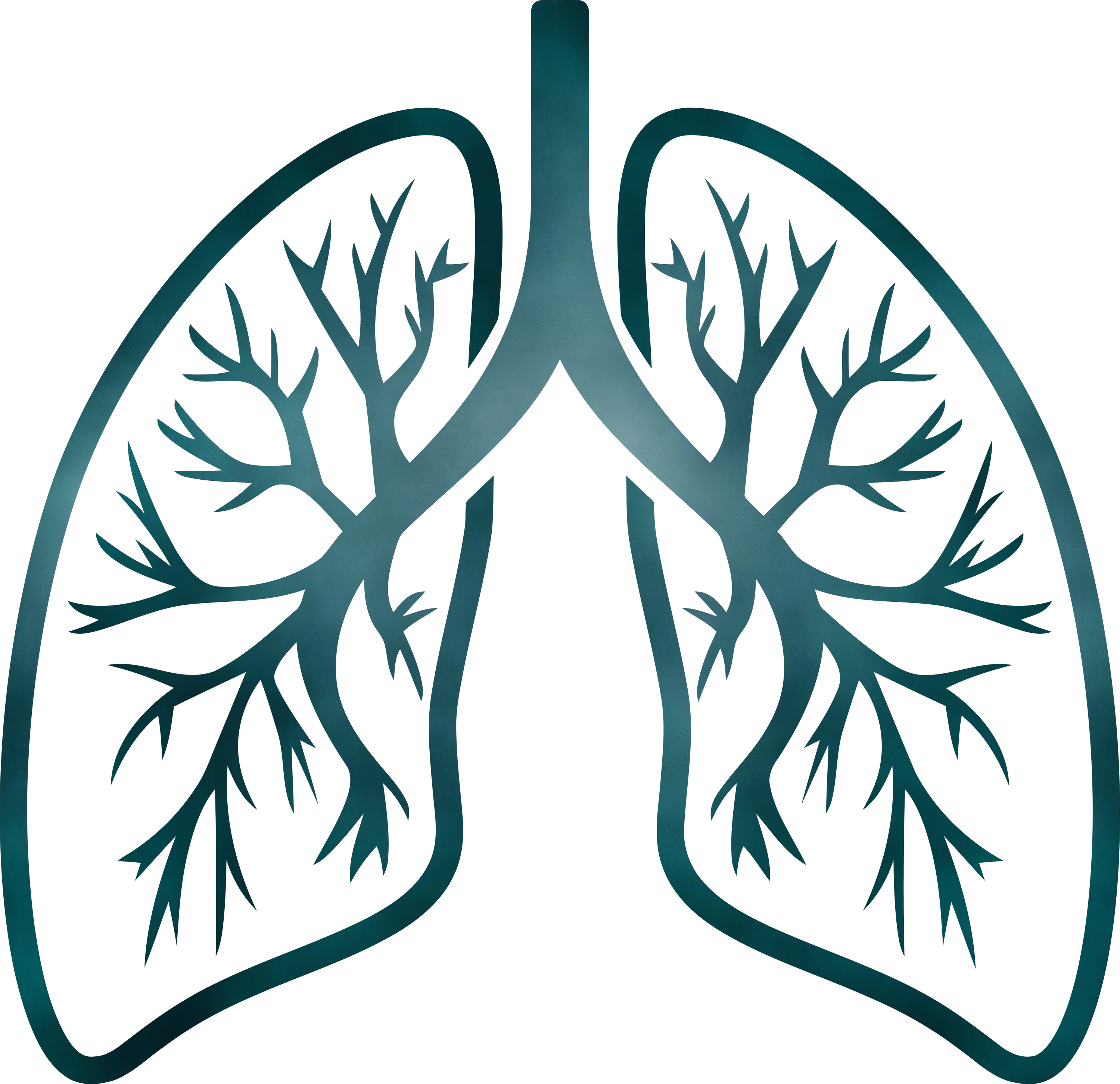 Detailed Lungs Diagram Illustration