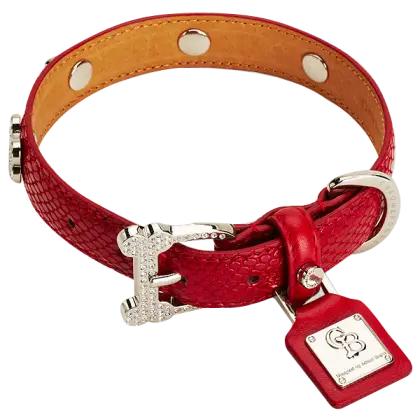 Red Dog Collar with Tag