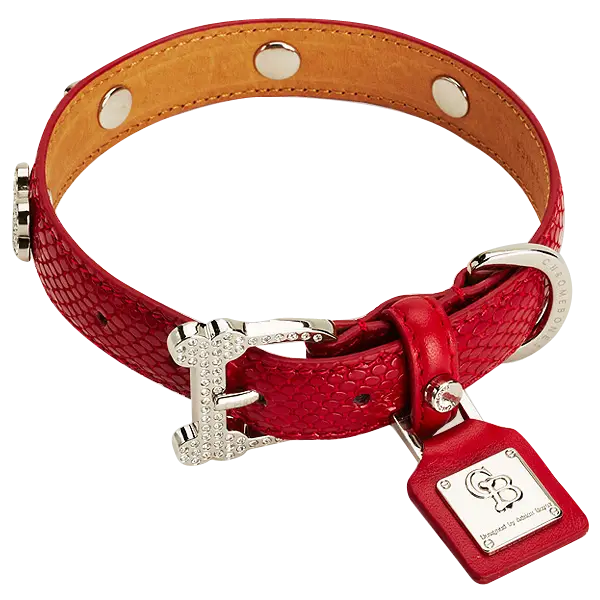 Red Dog Collar with Tag