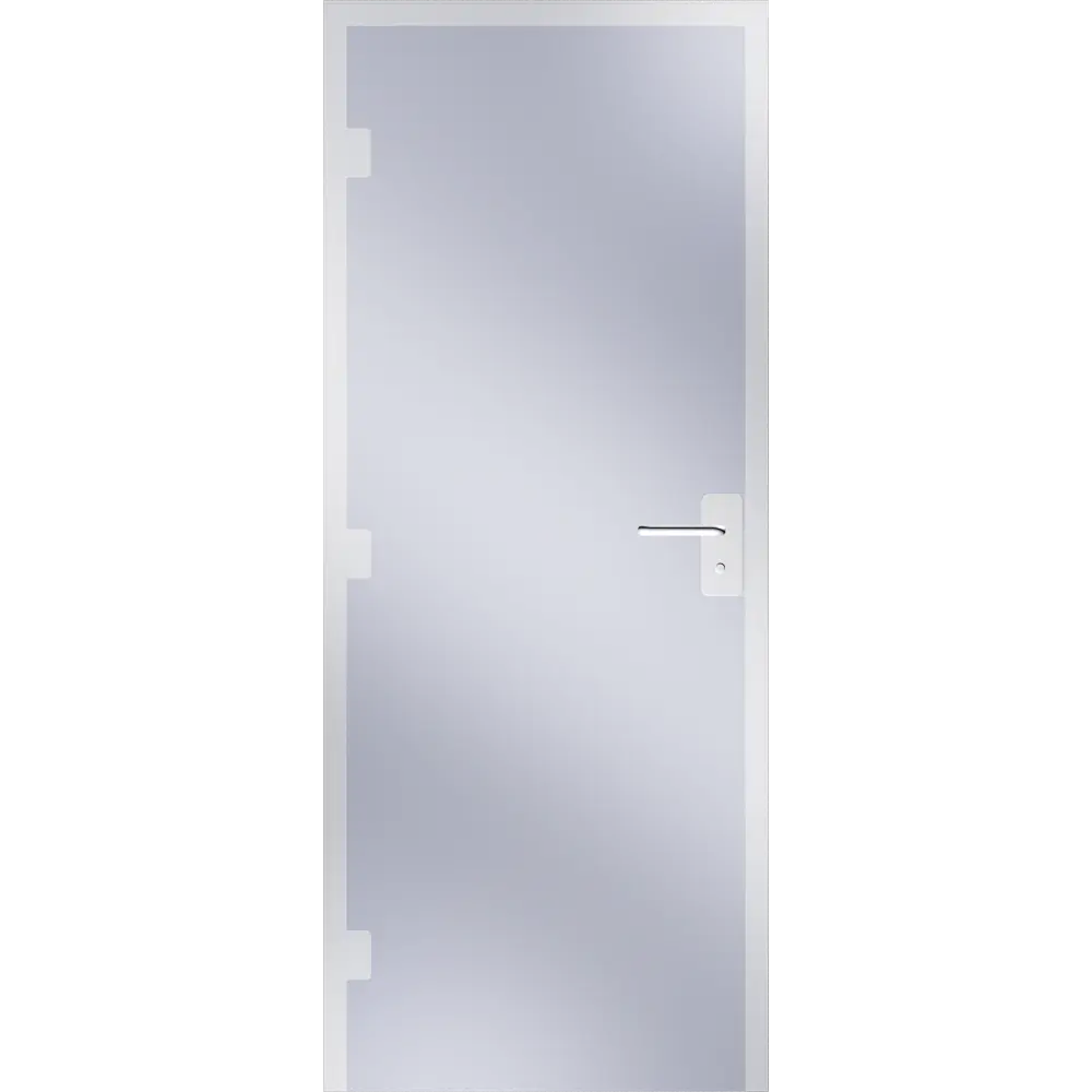 Modern Glass Door