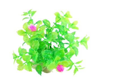 Green Plant with Pink Flowers