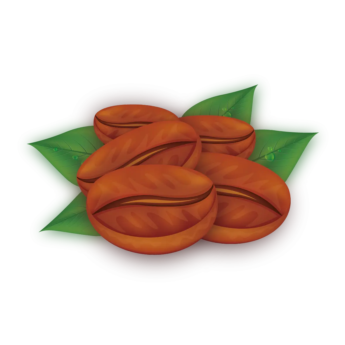 Coffee Beans with Leaves