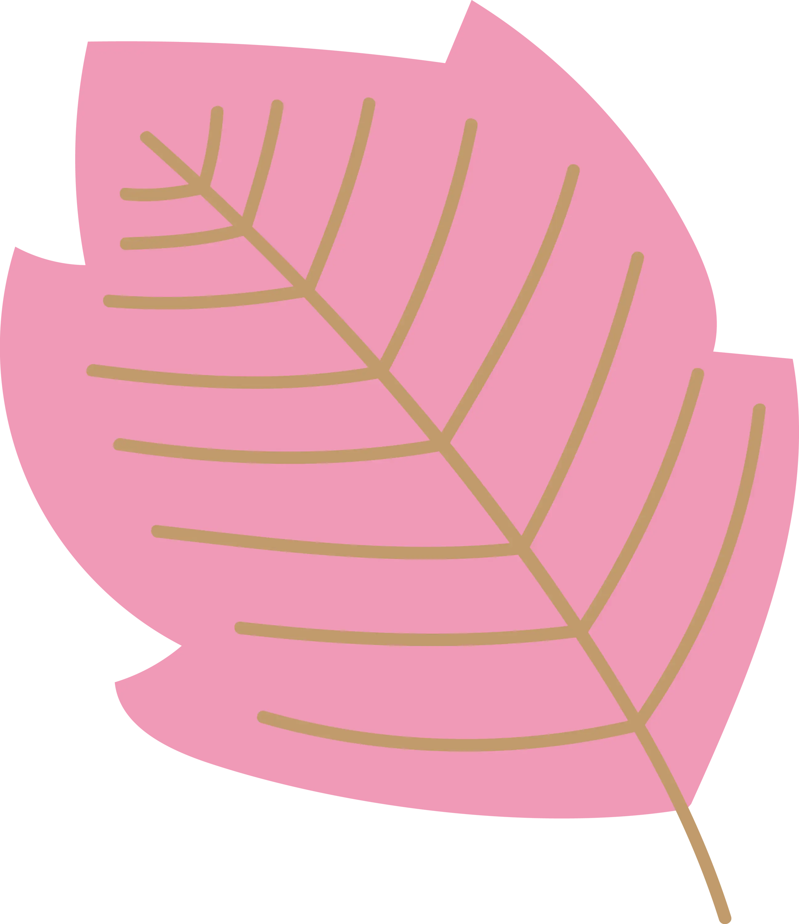 Pink Decorative Leaf Illustration