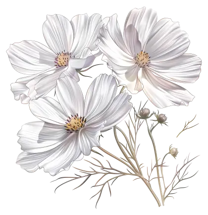 Delicate White Flowers Illustration
