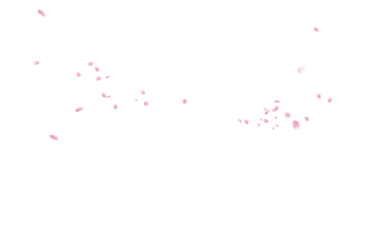 Pink Flower Petal Fragments in Motion