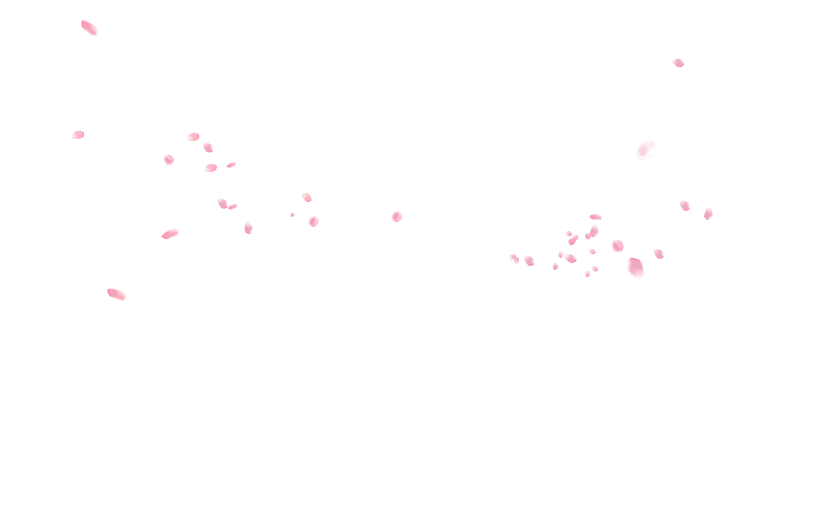 Pink Flower Petal Fragments in Motion