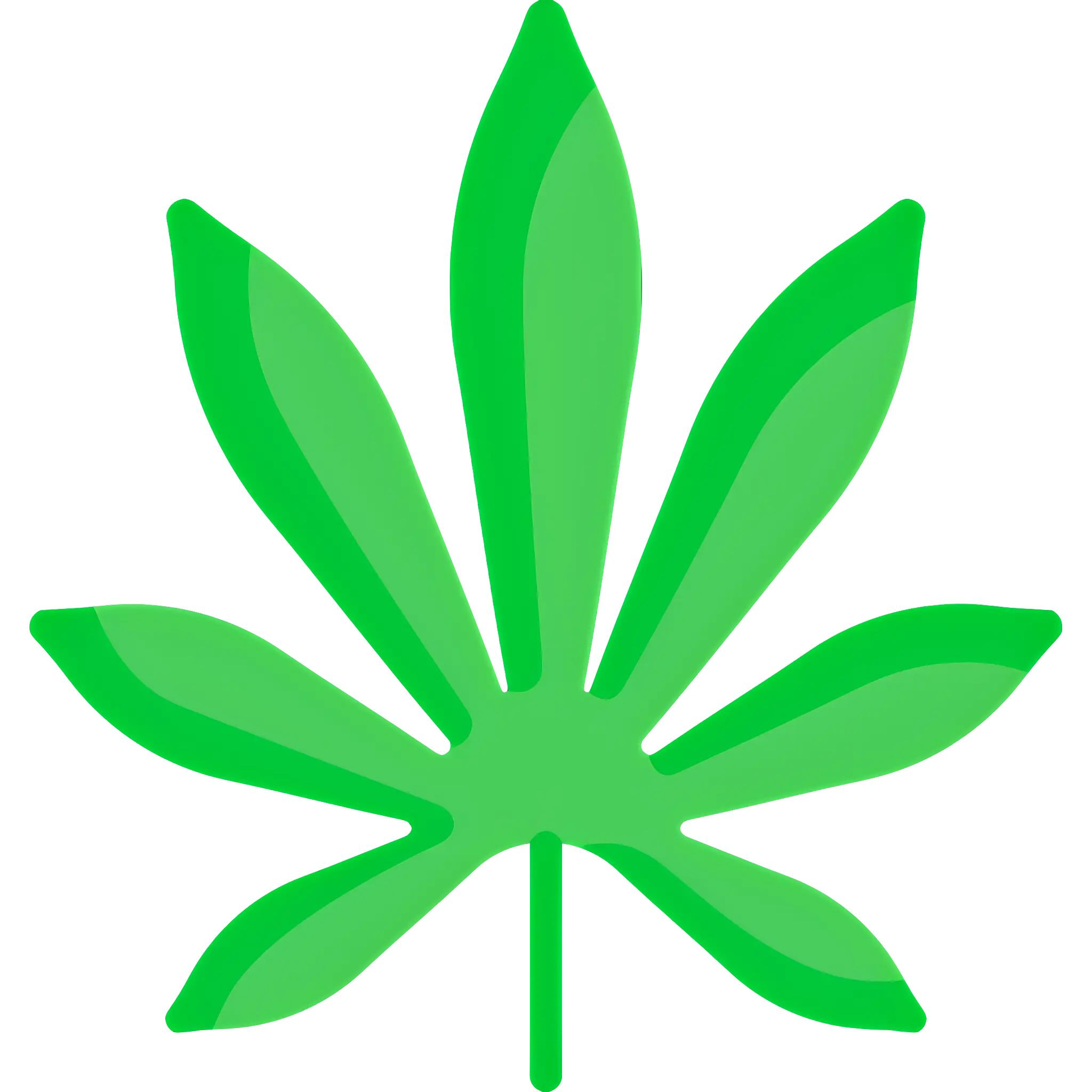 Green Leaf Illustration in Cartoon Style
