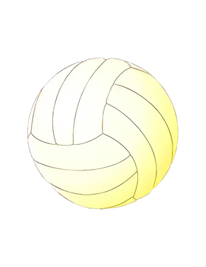 White and Yellow Volleyball