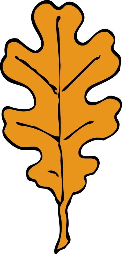 Autumn Oak Leaf Illustration