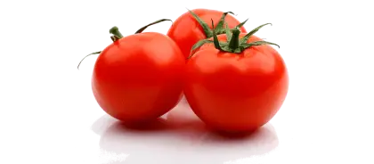 Fresh Red Tomatoes Group