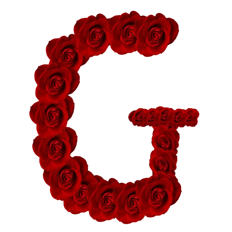 Floral Letter G Made of Red Roses