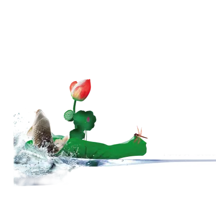 Red Flower with Water Splash