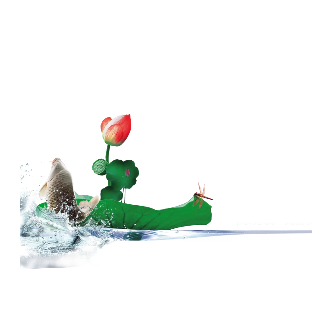 Red Flower with Water Splash