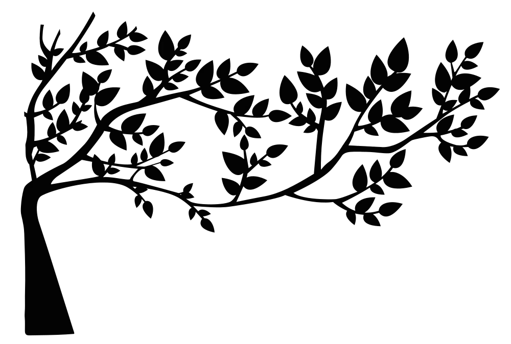 Black Silhouette of a Tree Branch