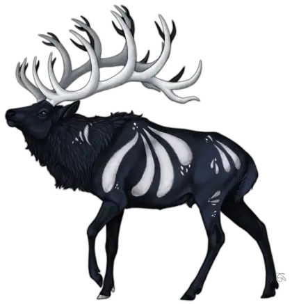 Dark Skeleton Deer Fantasy Illustration