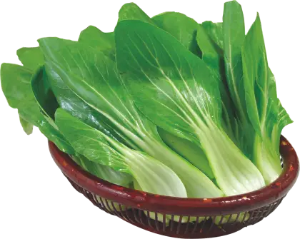 Fresh Green Leafy Vegetables in Basket