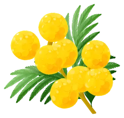 Yellow Berries