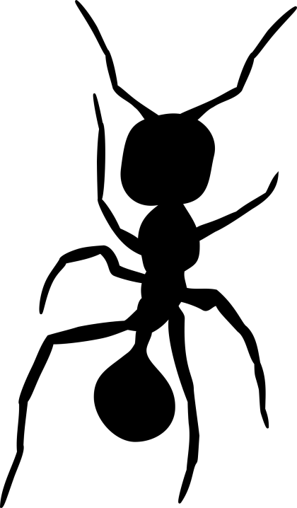 Black Ant Silhouette