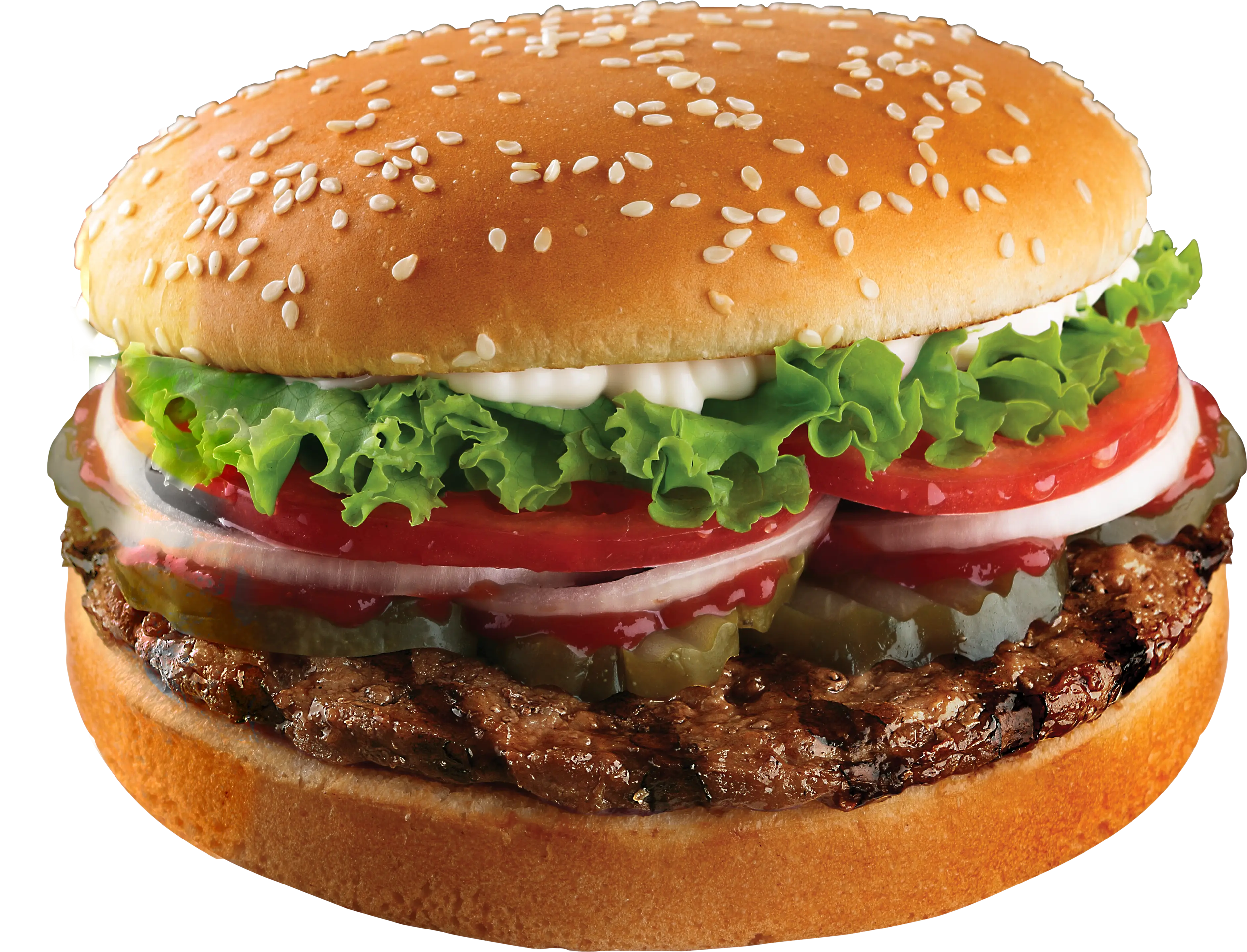 Grilled Beef Hamburger with Lettuce and Tomato