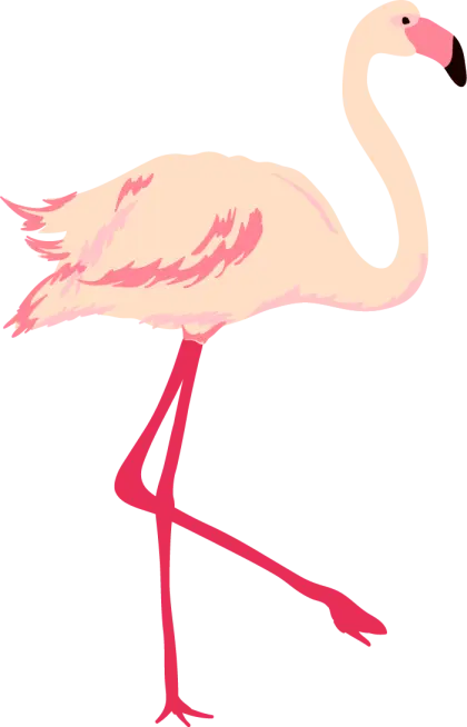 Pink Flamingo Illustration in Tropical Style