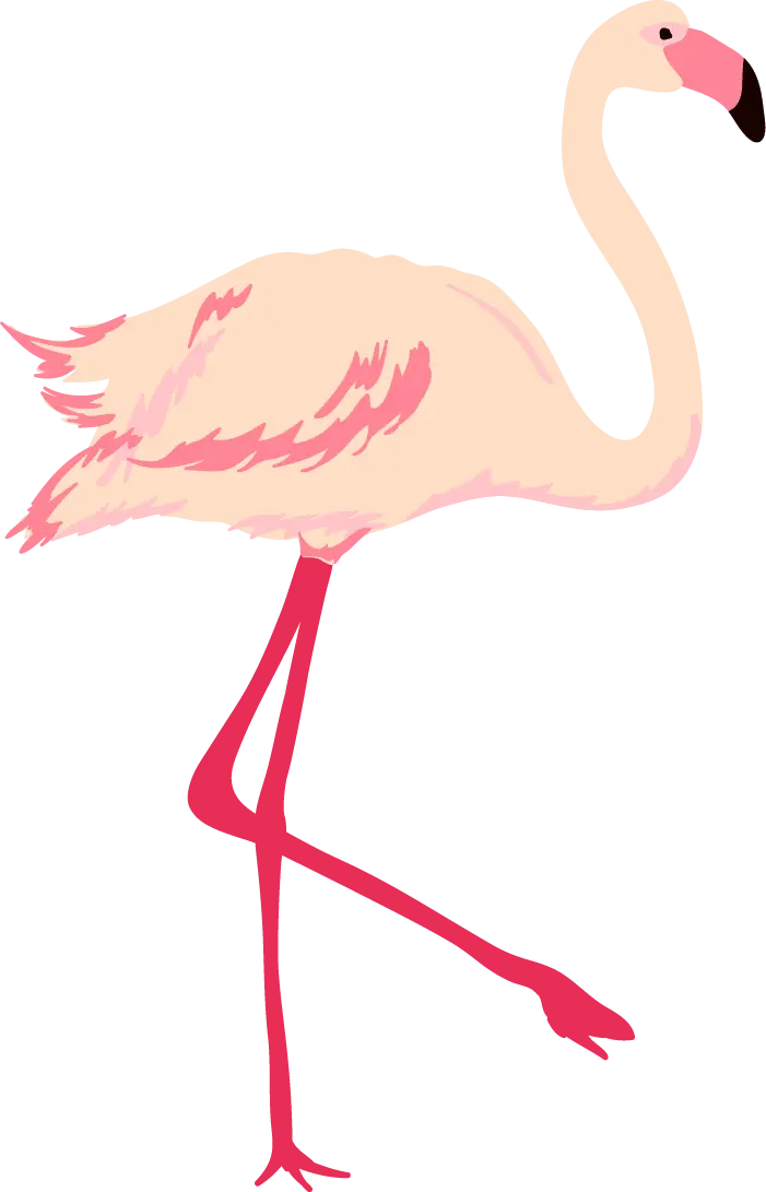 Pink Flamingo Illustration in Tropical Style