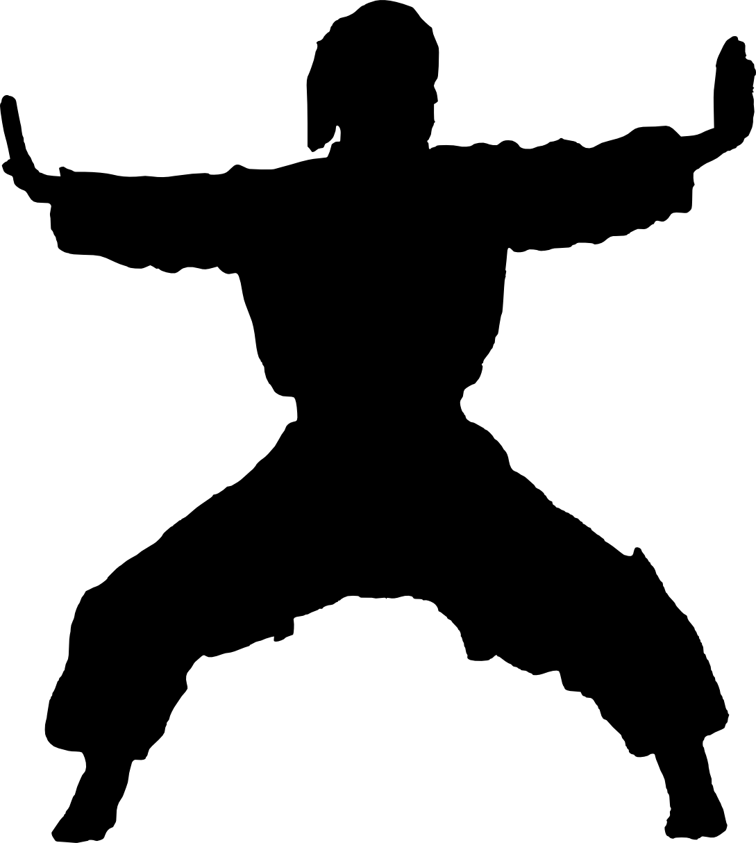 Martial Artist Silhouette in Karate Pose