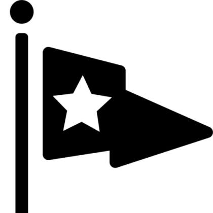 Black Flag with Star Symbol