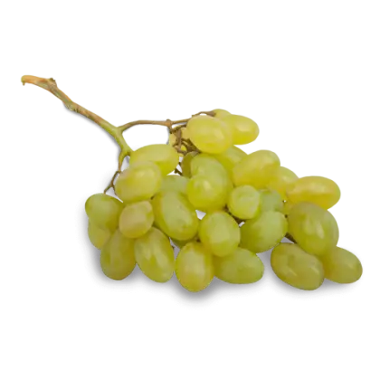Fresh Cluster of Green Grapes