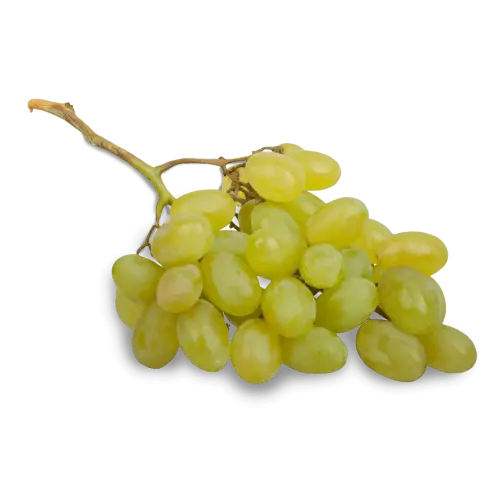 Fresh Cluster of Green Grapes