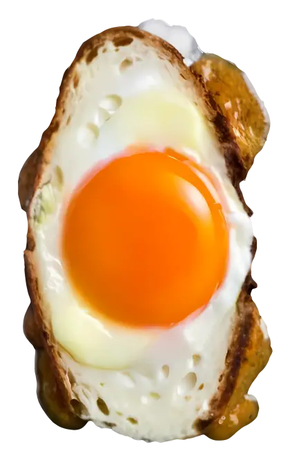 Realistic Fried Egg