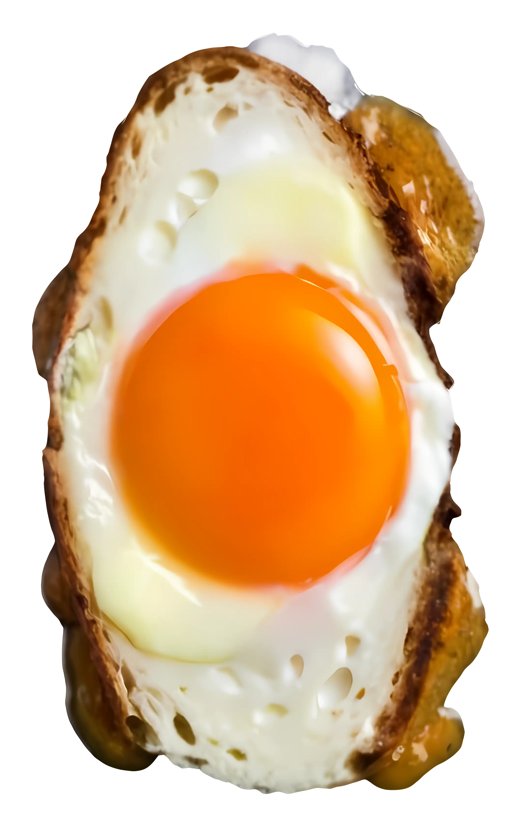 Realistic Fried Egg