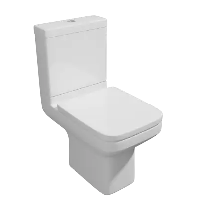 White Ceramic Toilet