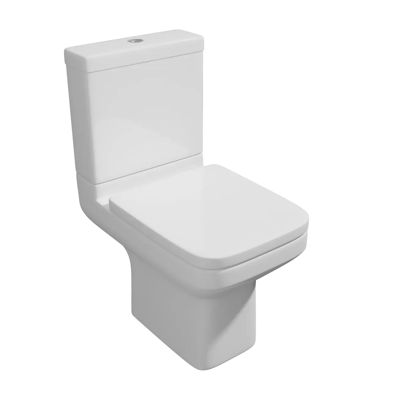White Ceramic Toilet