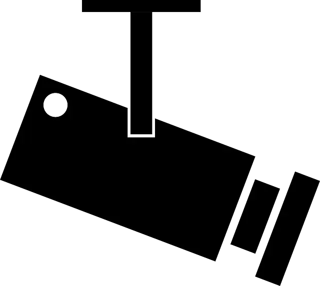 Black Security Camera Icon