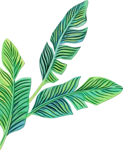 Illustration of Green Leafy Plant